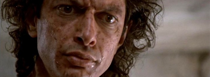 The Fly