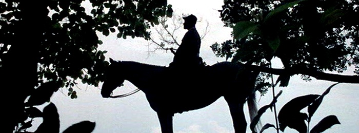 Farewell to the King