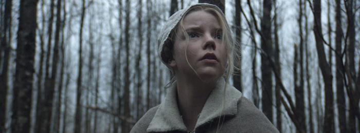The Witch (2015)