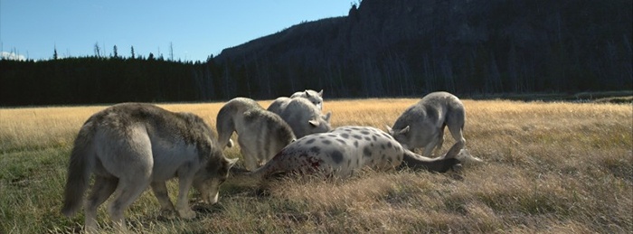 Titans of the Ice Age 3D