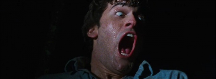 The Evil Dead (1981)