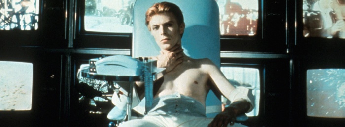 The Man Who Fell to Earth