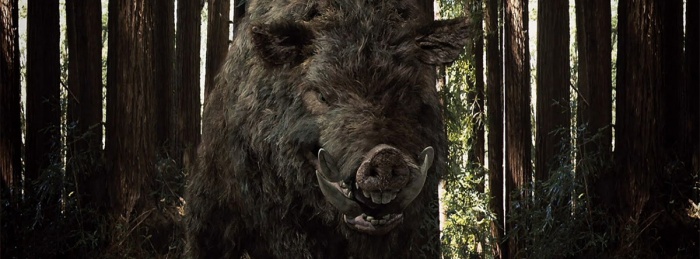 Boar Trailers and reviews Flicks.co.nz