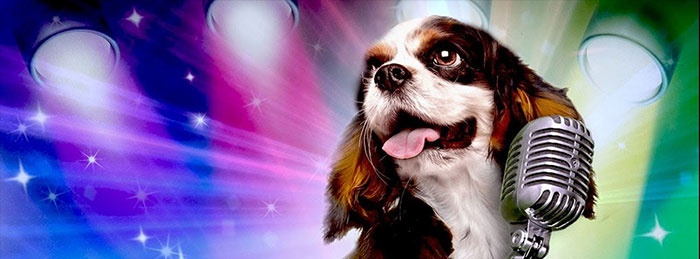 Pup Star (2016)