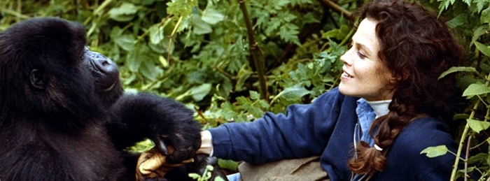 Gorillas in the Mist: The Story of Dian Fossey