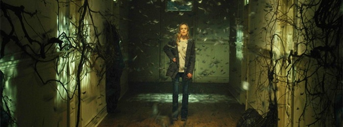 Before I Wake