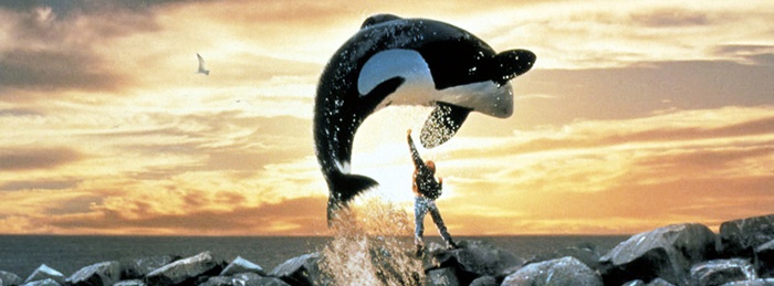 Free Willy