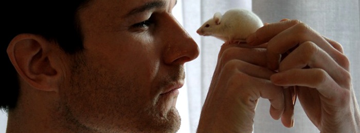 Errors Of The Human Body