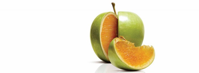 Freakonomics