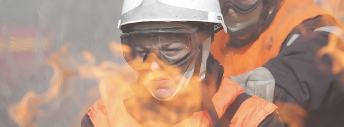 The Brigade (Les hommes du feu)