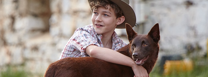 Red Dog True Blue Where to watch streaming and online