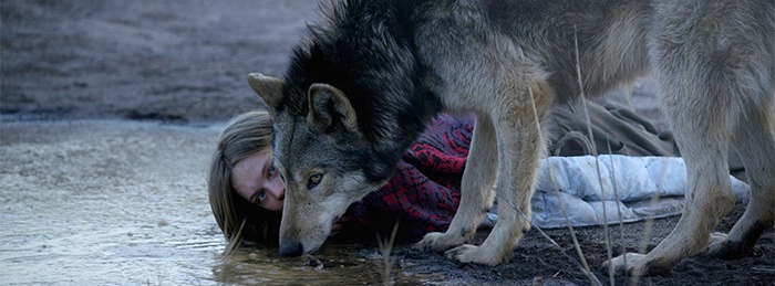 Wild (2016)