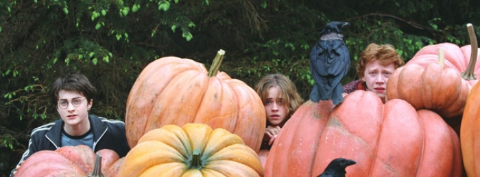 Harry Potter and the Prisoner of Azkaban