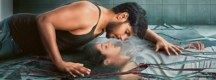 Ninu Veedani Needanu Nene