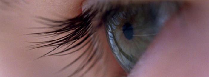 Voyage of Time: Life's Journey