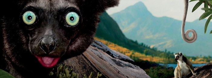 Island of Lemurs: Madagascar