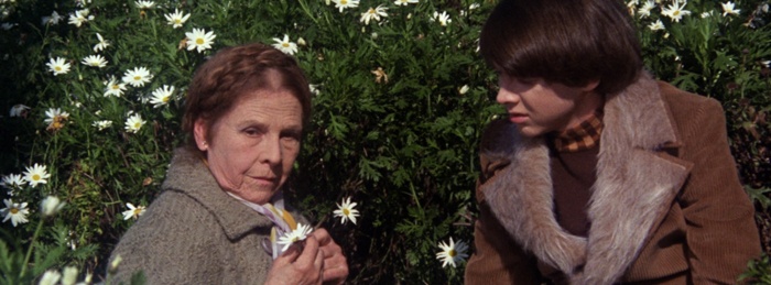 Harold and Maude