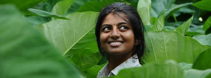 Kayal
