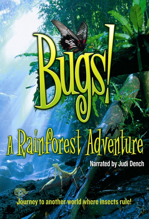 Bugs!