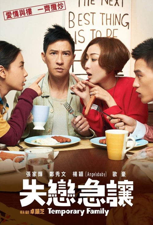 Poster for Temporary Family Flicks.co.nz