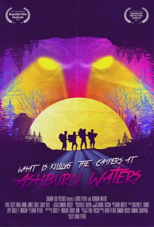 Ashburn Waters