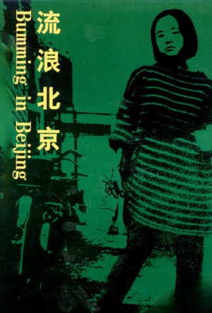 Poster for Bumming in Beijing: The Last Dreamers
