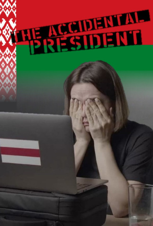 Poster for The Accidental President (2024)