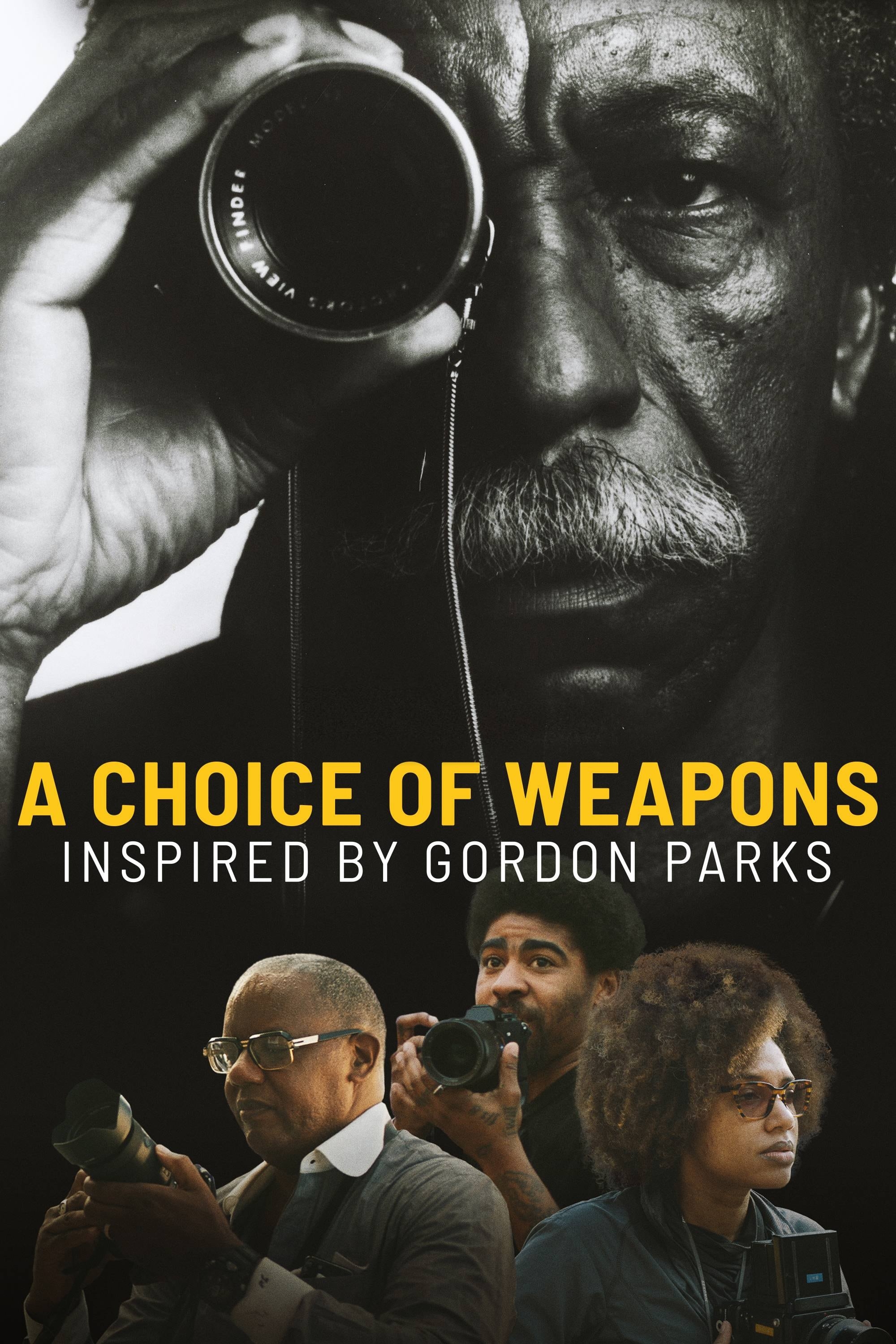 A Choice Of Weapons Inspired By Gordon Parks