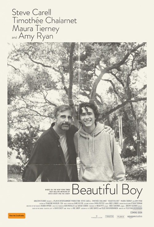 Beautiful Boy (2018)
