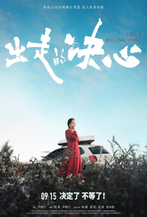 Poster for Like a Rolling Stone