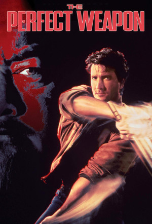 Poster for The Perfect Weapon (1991)
