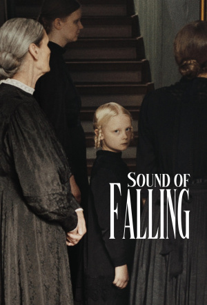 Poster for Sound of Falling