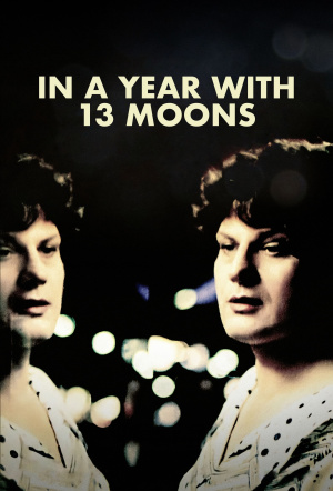 Poster for In a Year with 13 Moons