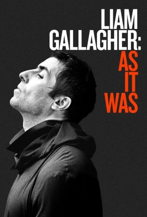 Liam Gallagher: As It Was