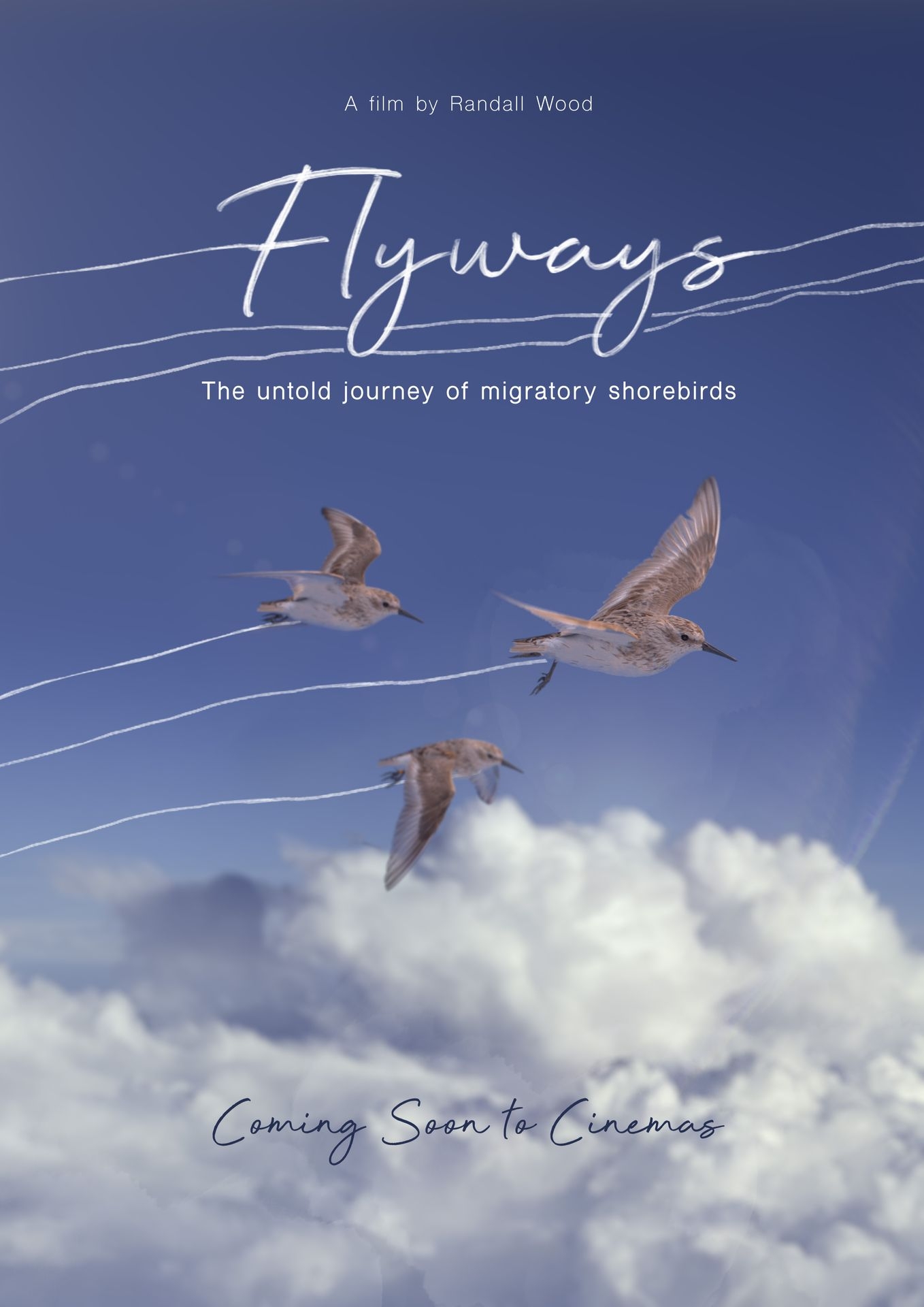 Flyways | Where to watch streaming and online in New Zealand | Flicks