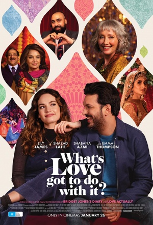 Poster for What's Love Got to Do With It?