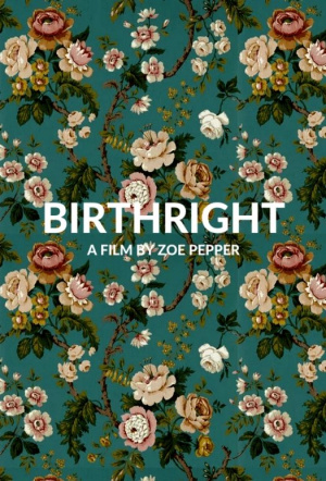 Poster for Birthright