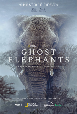 Poster for Ghost Elephants