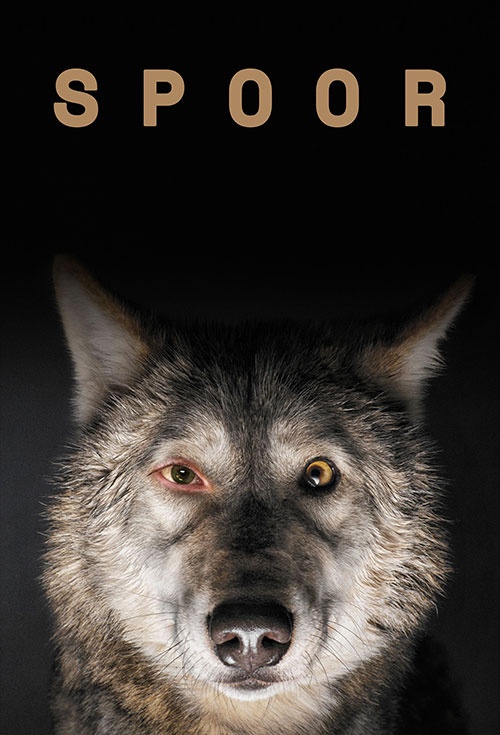 Spoor