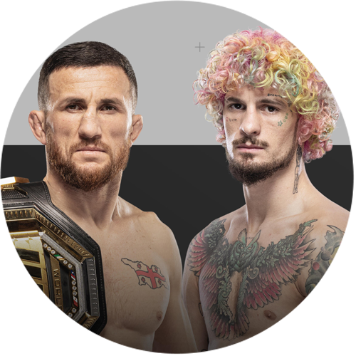 UFC 316: Dvalishvili vs O'Malley 2 logo