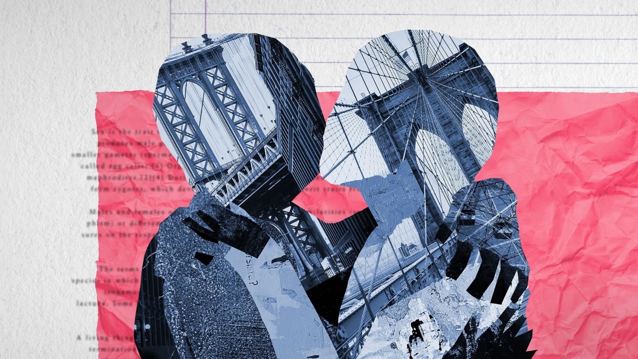 Sex Diaries: Miniseries