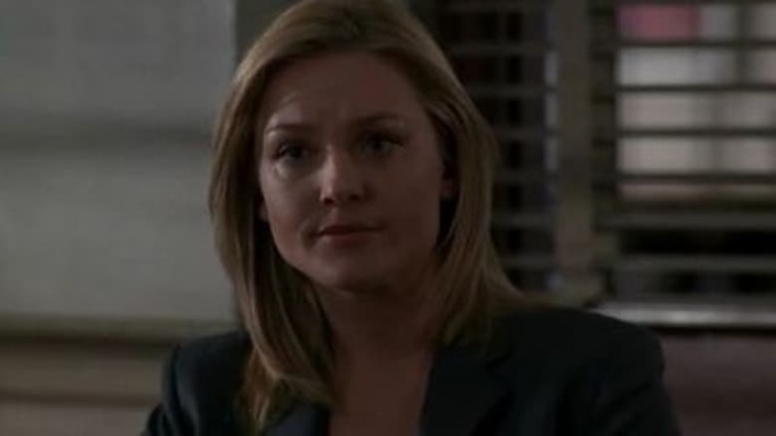 Law & Order: Season 13 | Where to watch streaming and online in the UK ...