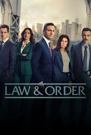 Poster for Law & Order: Season 25