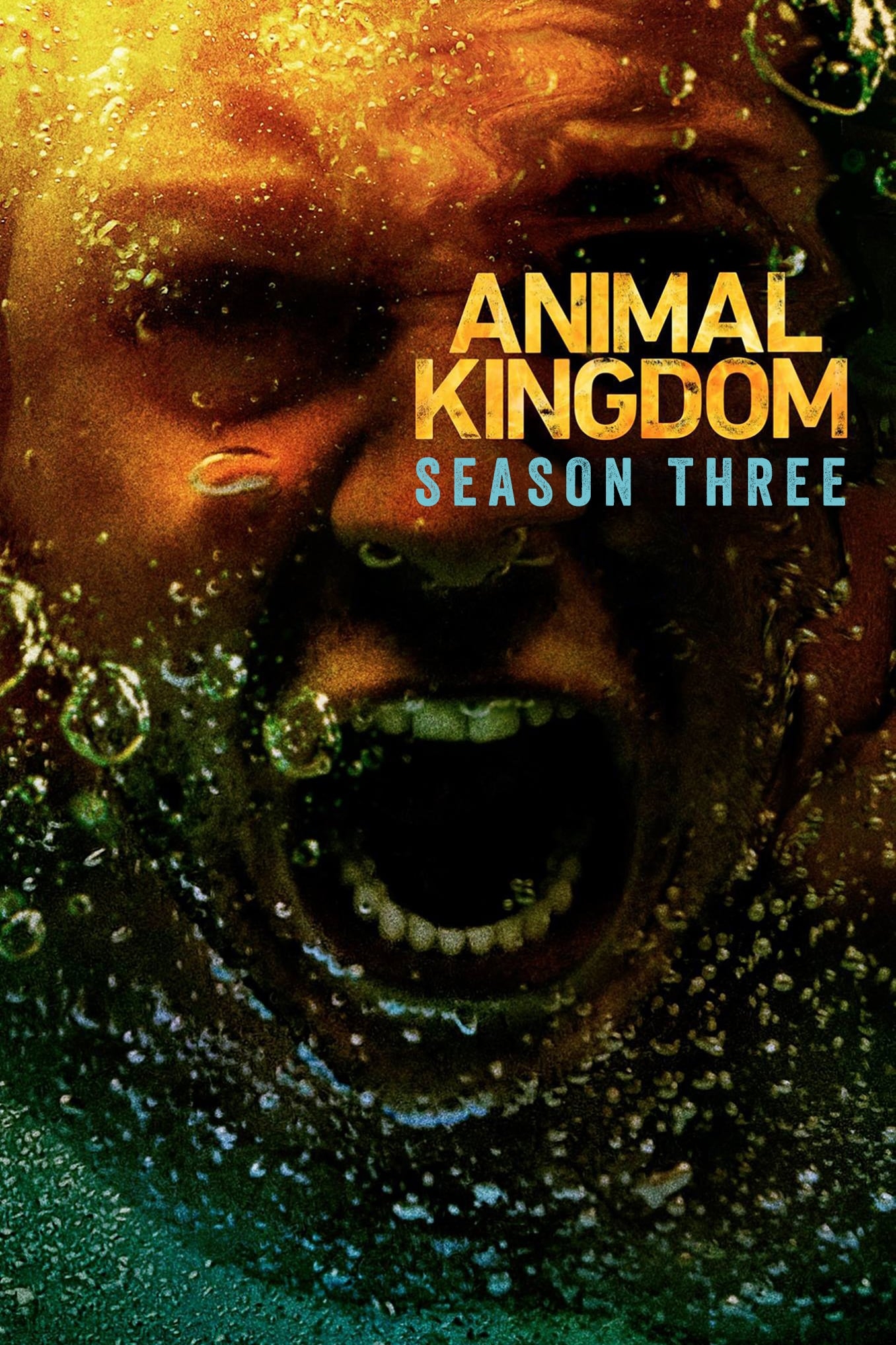 Animal Kingdom Season 3 Where to watch streaming and online in New