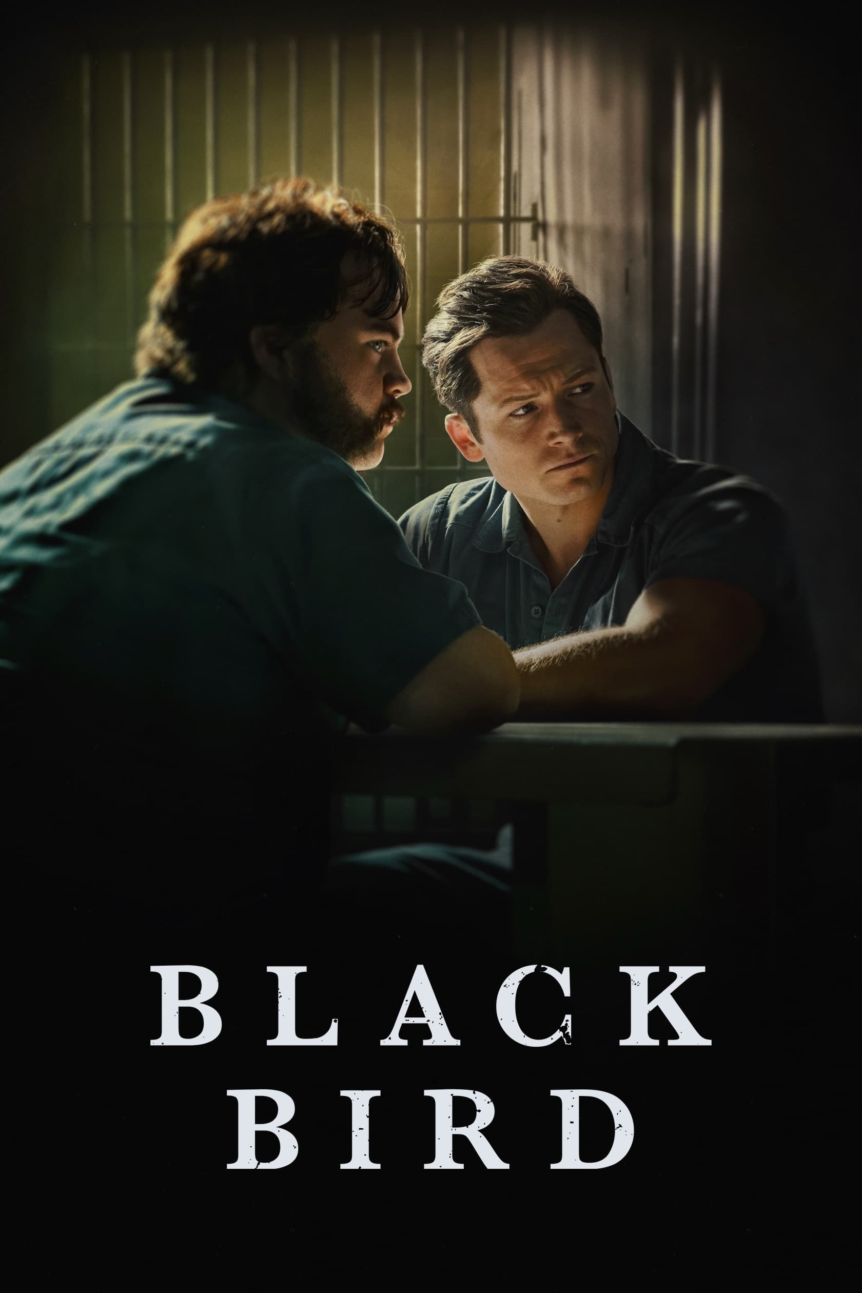 Black Bird Miniseries Where To Watch Streaming And Online In New Zealand Flicks