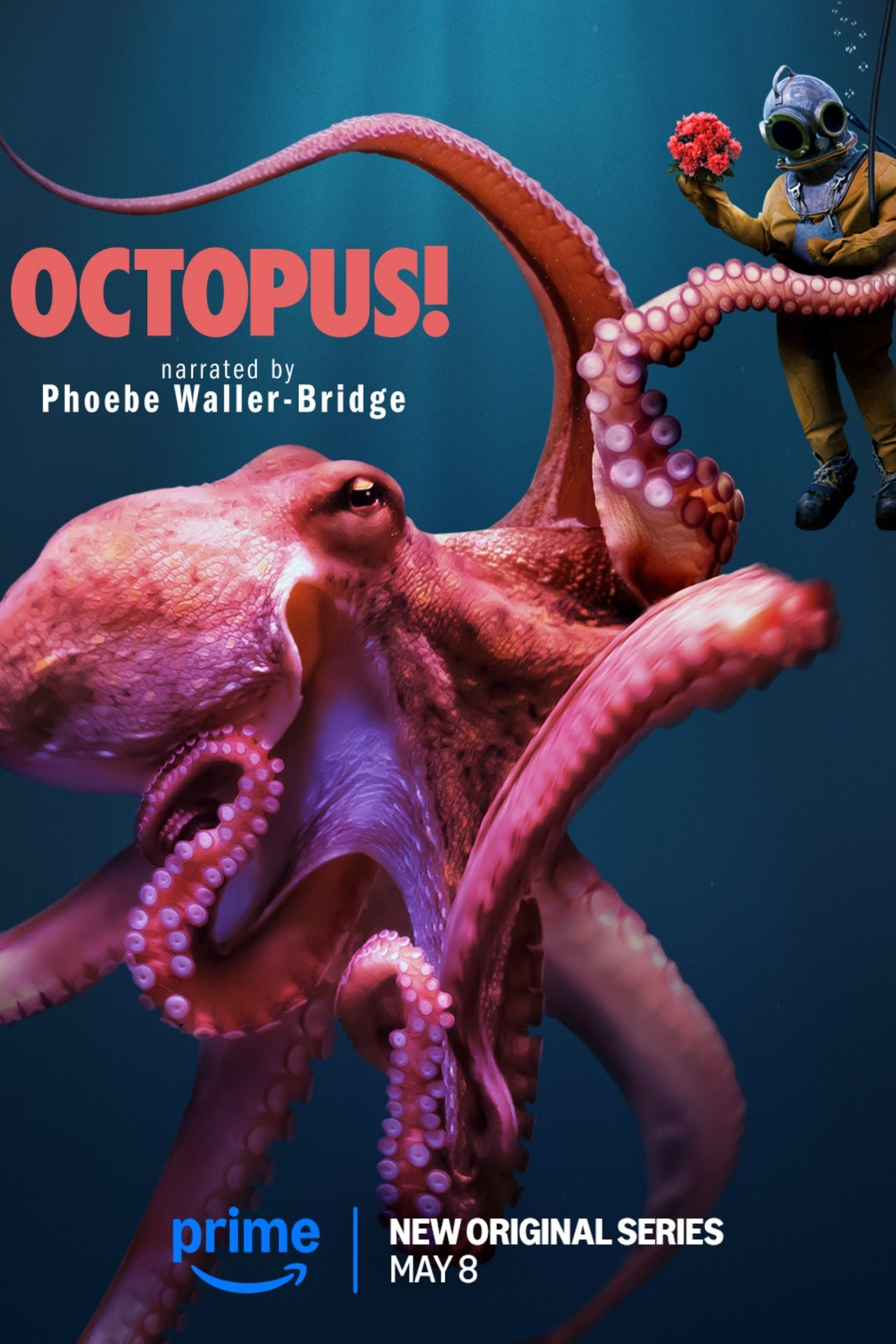 Steaming Octopus Octopus! (2025) | Where to watch streaming and online in the UK | Flicks