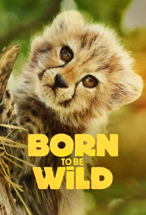Poster for Born to be Wild: Season 1