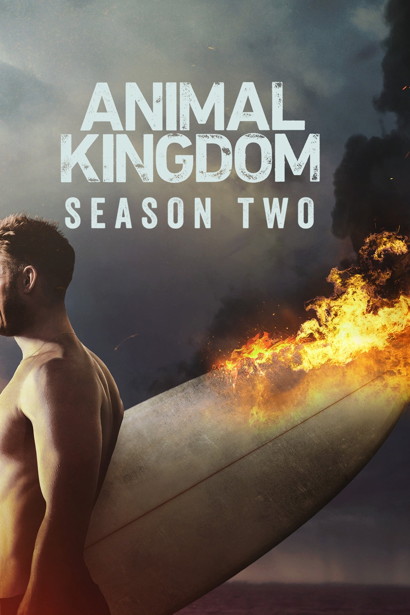 Animal Kingdom: Season 2 | Where to watch streaming and online in New
