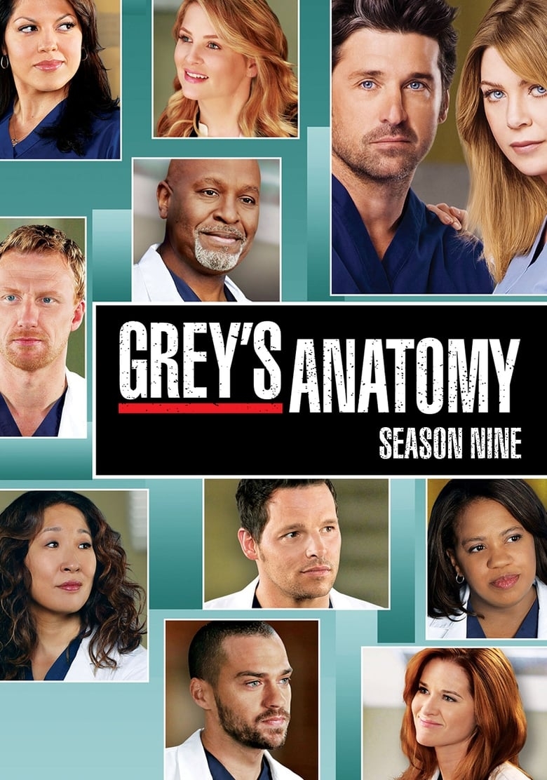 Grey's Anatomy: Season 9 | Where to watch streaming and online in New
