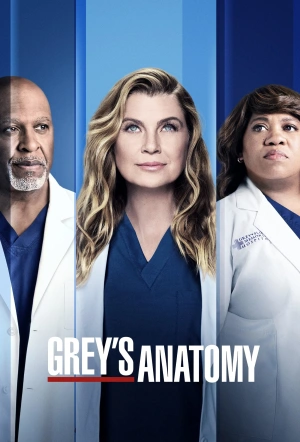 Poster for Grey's Anatomy: Season 22